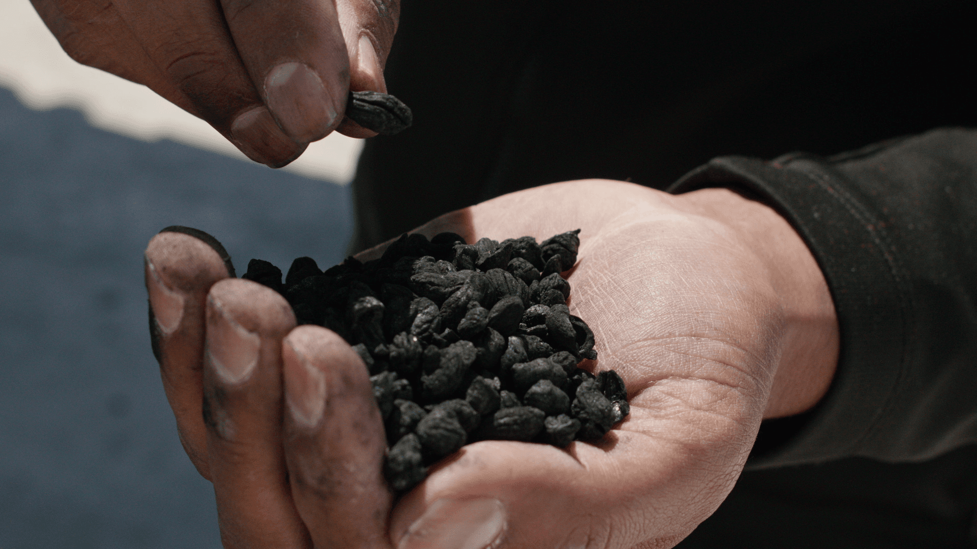 Close up of a biochar sample in a person's hands