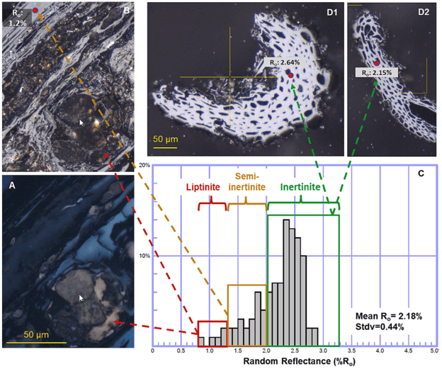 Random Reflectance measurements to determine the permanence of biochar carbon removal